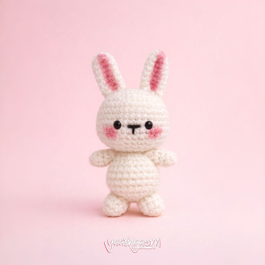 Crochet Amigurumi Bunny