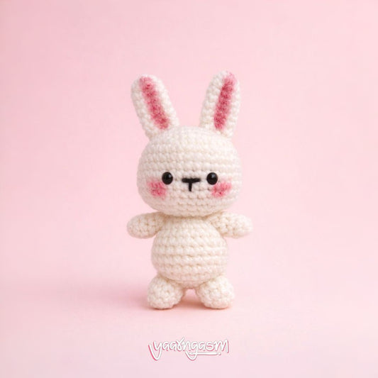 Crochet Amigurumi Bunny